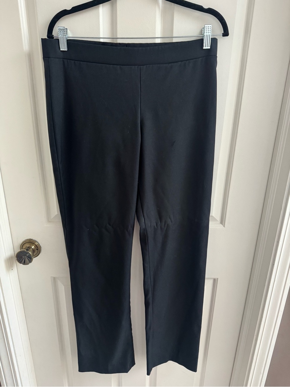 Horsemanship or showmanship pants